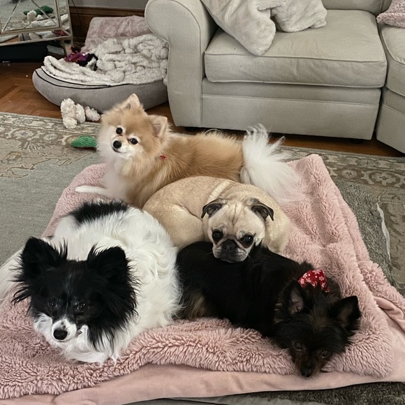 Meet the seller 😍😘😍😘😍 Taliadiva!! Read about me and my policy’s - Picture 4 of 4